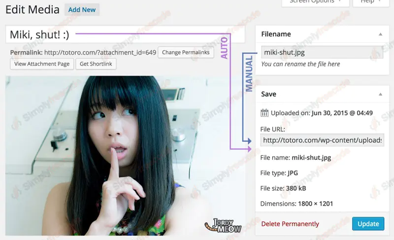 Media File Renamer Pro v6.1.2 by MeowApps - Nulled